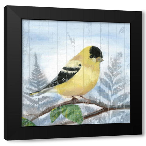 Eastern Songbird III Black Modern Wood Framed Art Print with Double Matting by Ludwig, Alicia