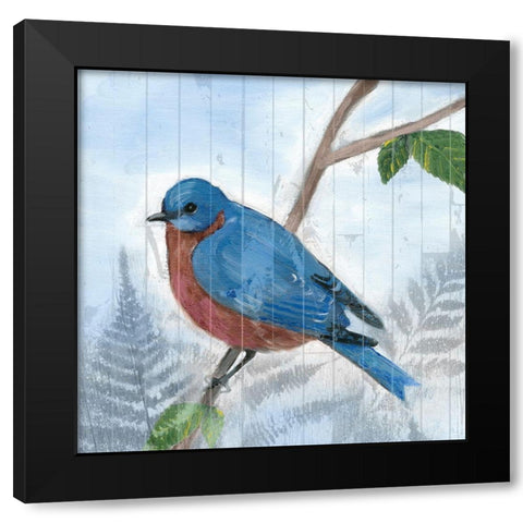 Eastern Songbird IV Black Modern Wood Framed Art Print with Double Matting by Ludwig, Alicia