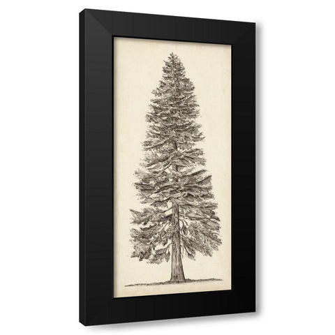 Pacific Northwest Tree Sketch I Black Modern Wood Framed Art Print by Wang, Melissa