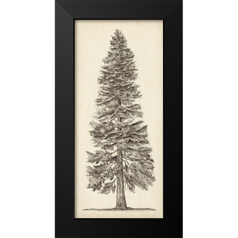 Pacific Northwest Tree Sketch I Black Modern Wood Framed Art Print by Wang, Melissa