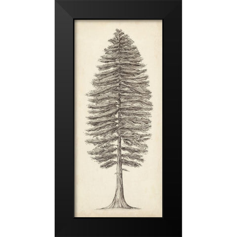 Pacific Northwest Tree Sketch II Black Modern Wood Framed Art Print by Wang, Melissa