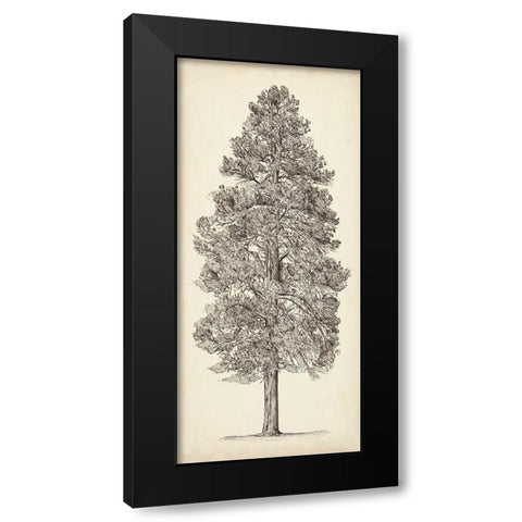 Pacific Northwest Tree Sketch III Black Modern Wood Framed Art Print with Double Matting by Wang, Melissa