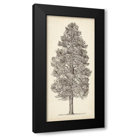 Pacific Northwest Tree Sketch III Black Modern Wood Framed Art Print by Wang, Melissa