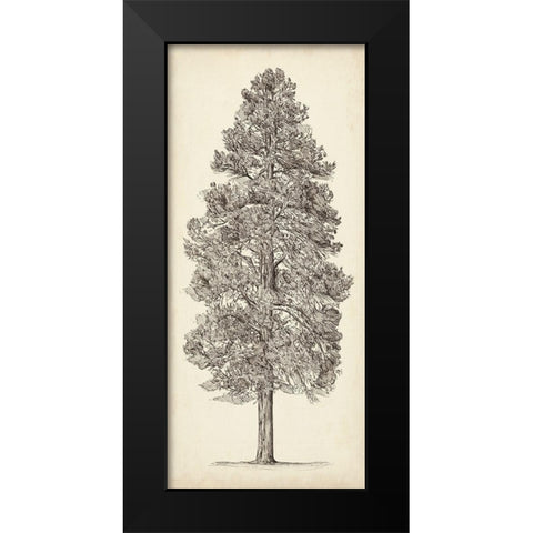 Pacific Northwest Tree Sketch III Black Modern Wood Framed Art Print by Wang, Melissa
