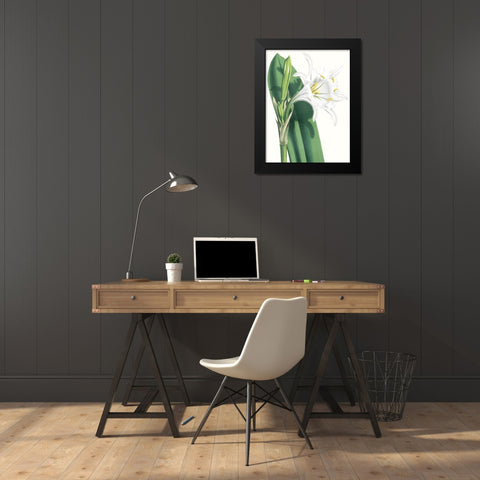 Floral Beauty I Black Modern Wood Framed Art Print by Vision Studio