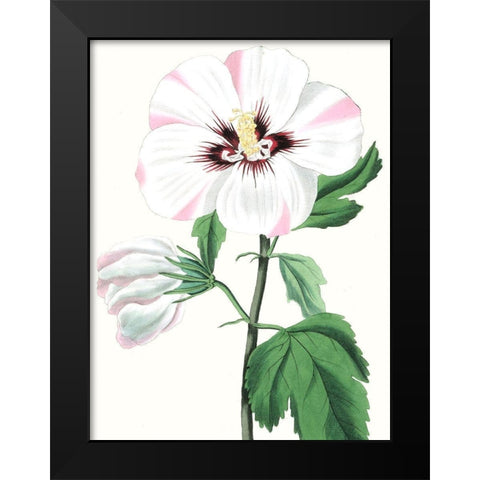 Floral Beauty III Black Modern Wood Framed Art Print by Vision Studio