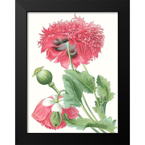 Floral Beauty V Black Modern Wood Framed Art Print by Vision Studio