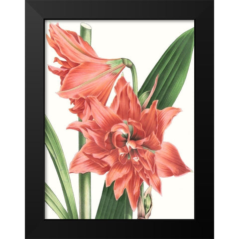 Floral Beauty VII Black Modern Wood Framed Art Print by Vision Studio