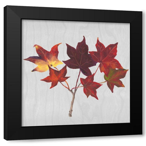 Autumn Leaves I Black Modern Wood Framed Art Print by Miller, Dianne