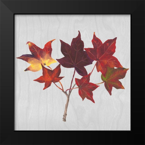 Autumn Leaves I Black Modern Wood Framed Art Print by Miller, Dianne
