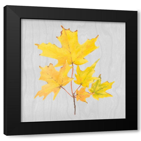 Autumn Leaves II Black Modern Wood Framed Art Print by Miller, Dianne