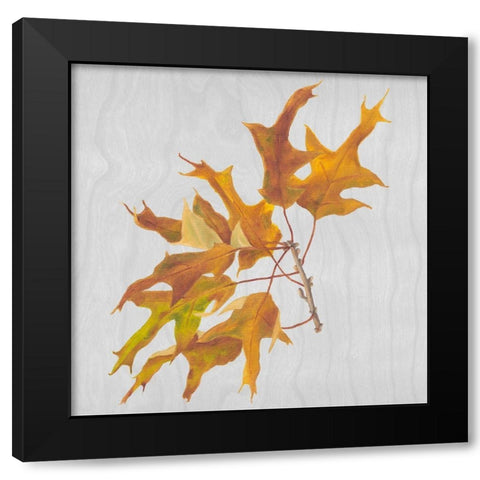 Autumn Leaves III Black Modern Wood Framed Art Print by Miller, Dianne