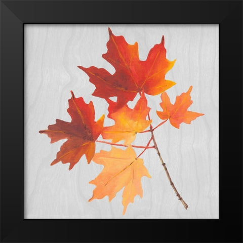 Autumn Leaves IV Black Modern Wood Framed Art Print by Miller, Dianne