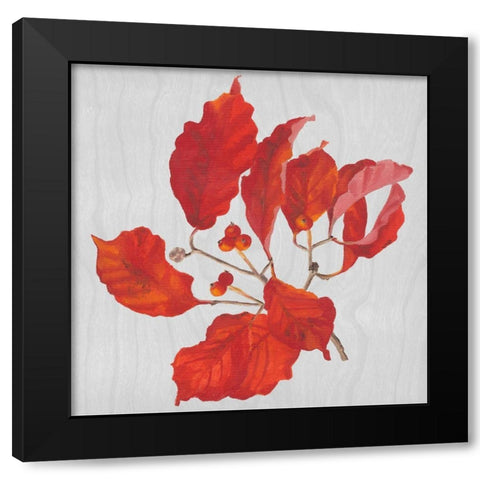 Autumn Leaves VI Black Modern Wood Framed Art Print with Double Matting by Miller, Dianne
