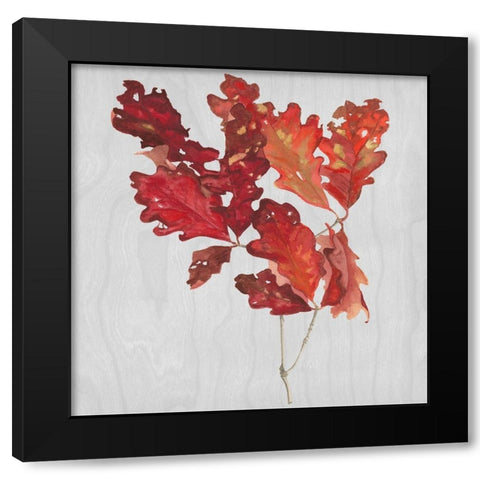 Autumn Leaves VIII Black Modern Wood Framed Art Print by Miller, Dianne