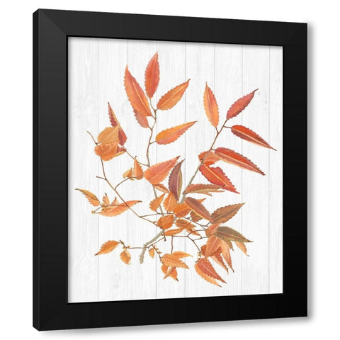 Sweet Foliage I Black Modern Wood Framed Art Print with Double Matting by Miller, Dianne