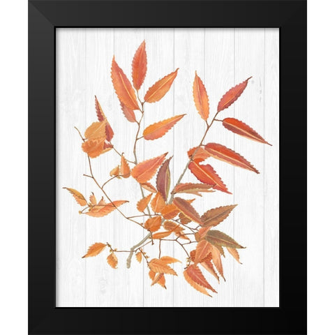 Sweet Foliage I Black Modern Wood Framed Art Print by Miller, Dianne
