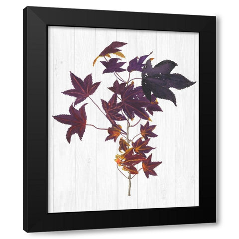 Sweet Foliage II Black Modern Wood Framed Art Print by Miller, Dianne