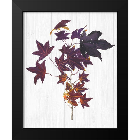 Sweet Foliage II Black Modern Wood Framed Art Print by Miller, Dianne