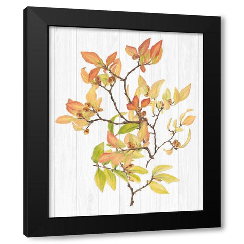Sweet Foliage III Black Modern Wood Framed Art Print by Miller, Dianne