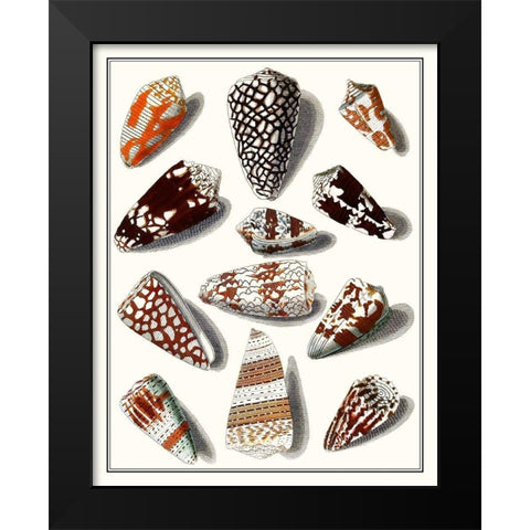 Collected Shells V Black Modern Wood Framed Art Print by Vision Studio