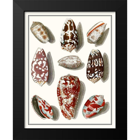 Collected Shells VI Black Modern Wood Framed Art Print by Vision Studio