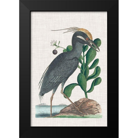 Catesby Heron I Black Modern Wood Framed Art Print by Catesby, Mark