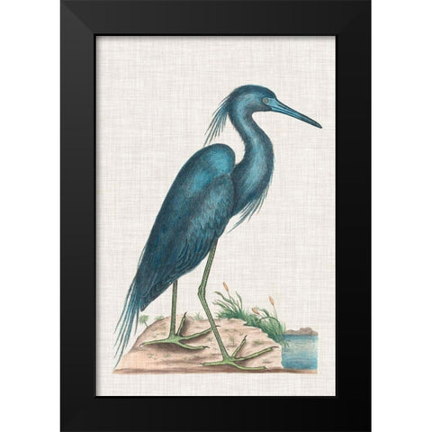 Catesby Heron II Black Modern Wood Framed Art Print by Catesby, Mark