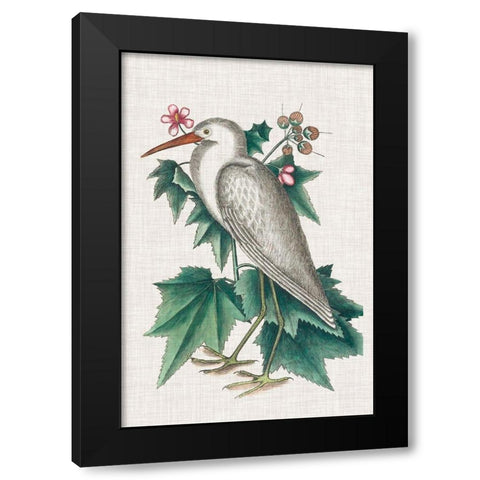 Catesby Heron III Black Modern Wood Framed Art Print with Double Matting by Catesby, Mark