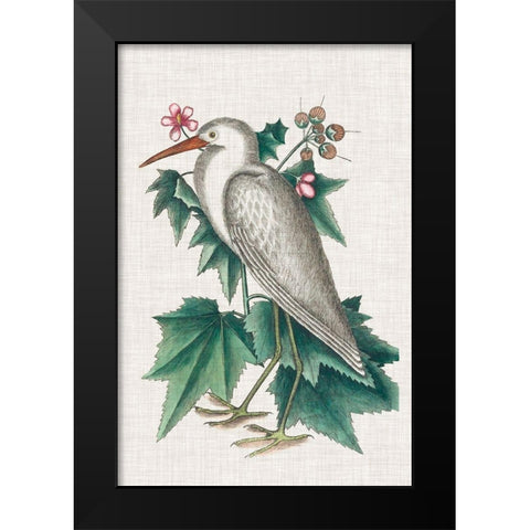 Catesby Heron III Black Modern Wood Framed Art Print by Catesby, Mark