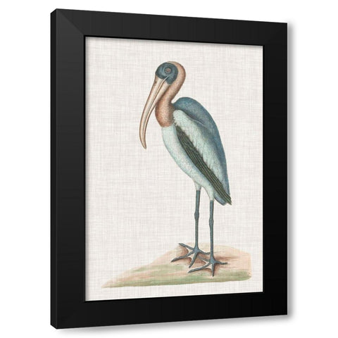 Catesby Heron IV Black Modern Wood Framed Art Print by Catesby, Mark