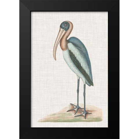 Catesby Heron IV Black Modern Wood Framed Art Print by Catesby, Mark