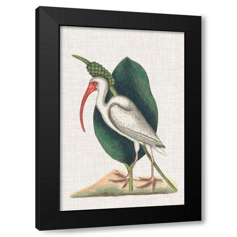 Catesby Heron VI Black Modern Wood Framed Art Print by Catesby, Mark