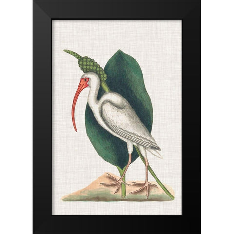 Catesby Heron VI Black Modern Wood Framed Art Print by Catesby, Mark