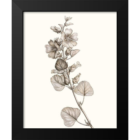 Neutral Botanical Study I Black Modern Wood Framed Art Print by Vision Studio