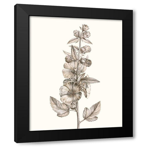 Neutral Botanical Study V Black Modern Wood Framed Art Print with Double Matting by Vision Studio