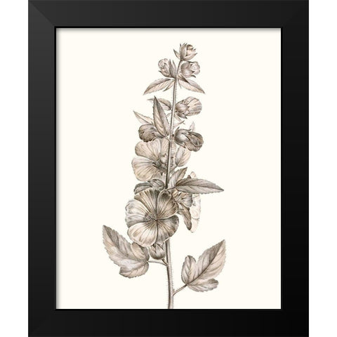Neutral Botanical Study V Black Modern Wood Framed Art Print by Vision Studio