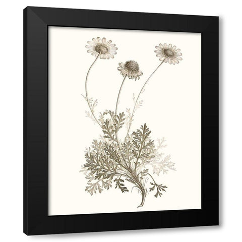 Neutral Botanical Study VIII Black Modern Wood Framed Art Print with Double Matting by Vision Studio