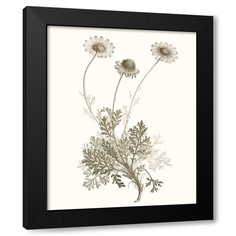 Neutral Botanical Study VIII Black Modern Wood Framed Art Print by Vision Studio