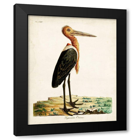 Gigantic Crane Black Modern Wood Framed Art Print with Double Matting by Latham, John