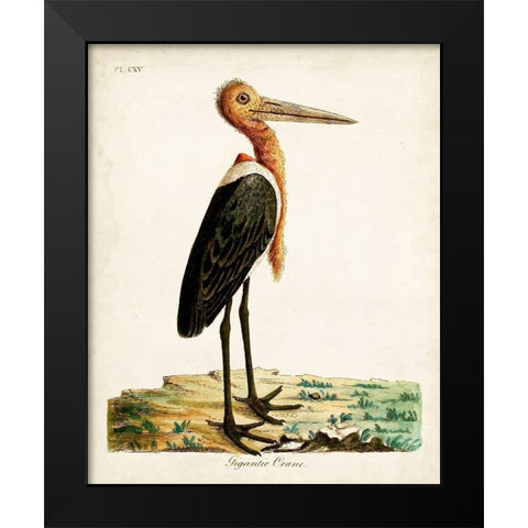 Gigantic Crane Black Modern Wood Framed Art Print by Latham, John