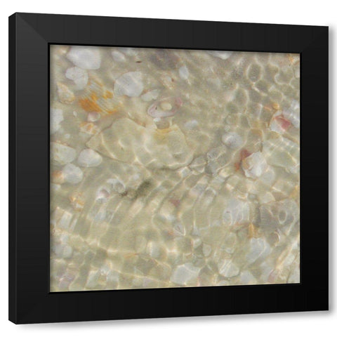 Shell Squares I Black Modern Wood Framed Art Print with Double Matting by Ilosky, Pam