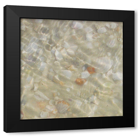 Shell Squares II Black Modern Wood Framed Art Print by Ilosky, Pam