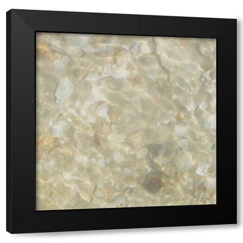 Shell Squares IV Black Modern Wood Framed Art Print with Double Matting by Ilosky, Pam