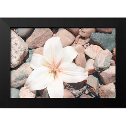 Pebble Beach I Black Modern Wood Framed Art Print by Johnson, Jason