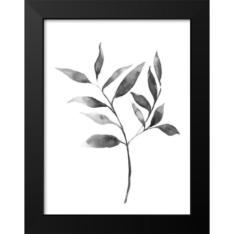 Brume Botanical II Black Modern Wood Framed Art Print by Scarvey, Emma