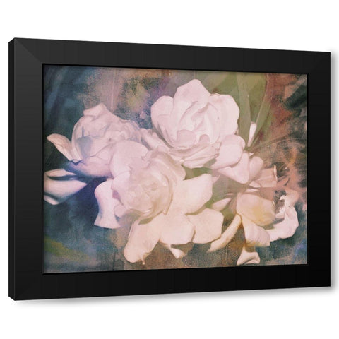 Blush Gardenia Beauty I Black Modern Wood Framed Art Print by Chandler, Sharon