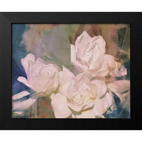 Blush Gardenia Beauty II Black Modern Wood Framed Art Print by Chandler, Sharon