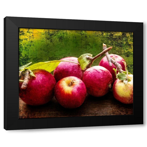 The Harvest I Black Modern Wood Framed Art Print with Double Matting by Perry, Rachel