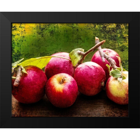 The Harvest I Black Modern Wood Framed Art Print by Perry, Rachel